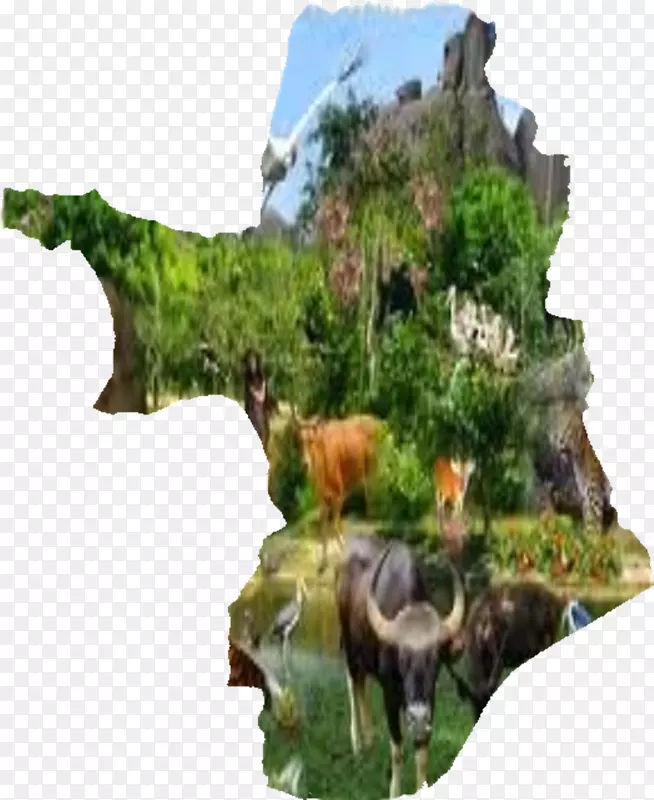 ������ֲ��-��-������