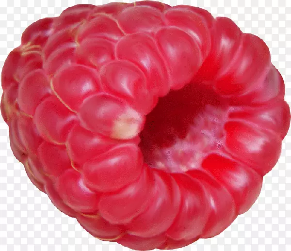 ��ݮ(Raspberry Pi Auglis)-ɭ��ˮ��-������