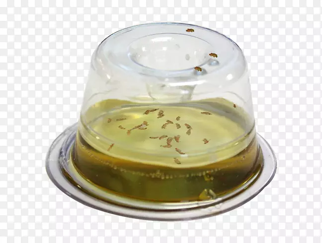 �����;�ר����Ӭ-������