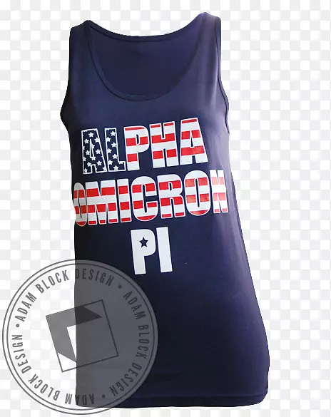 t���ƽ��������ɽķ��������Ҫ��-������