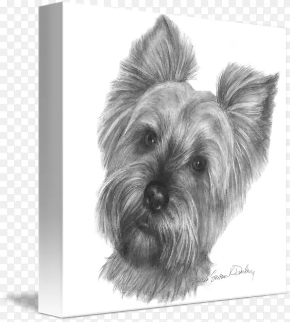 Լ�˿�С��Ȯ˹����Ȯ������Ȯ�Ĵ�����˿����Ȯ����-С��-������