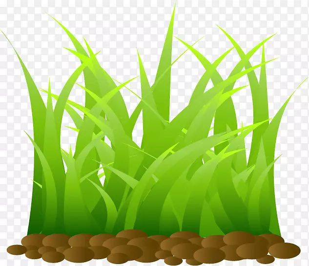 Rgbɫģ�Ͳݻ��ѷ�-������