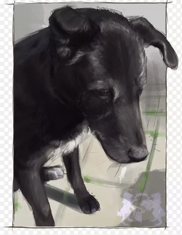 ����ֳ�˶�������Ӻ���-̫���ˣ����������㡣-������