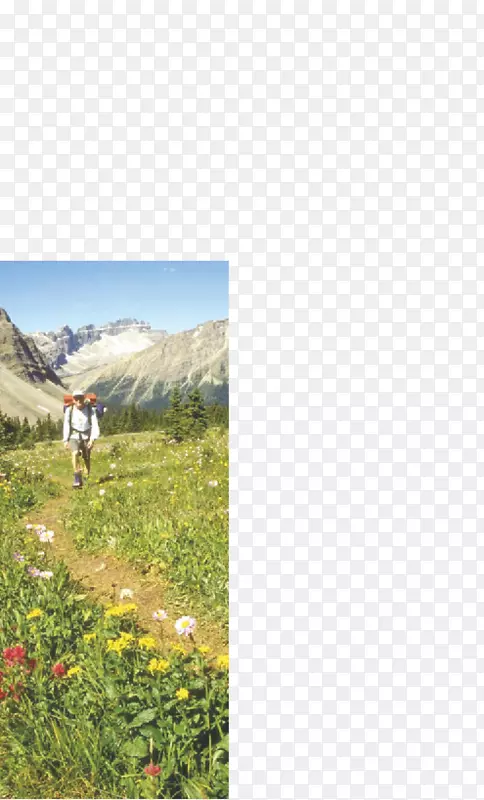 ɽ����ľ����Ȼ��������Ұ���صض�-����³������ˮ�Ϲ�԰-������