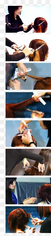 �����ֽ��������Ժչ��-������