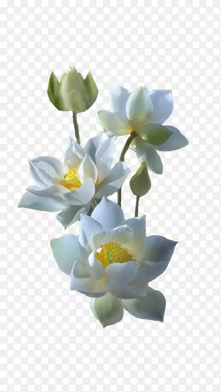 ��ɫ�����ٺϻ�ɫ����ɫ˯��-������