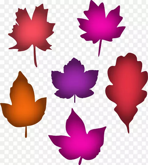 ��Ҷ����ԳƼ�����-Ҷ��ɫ-������