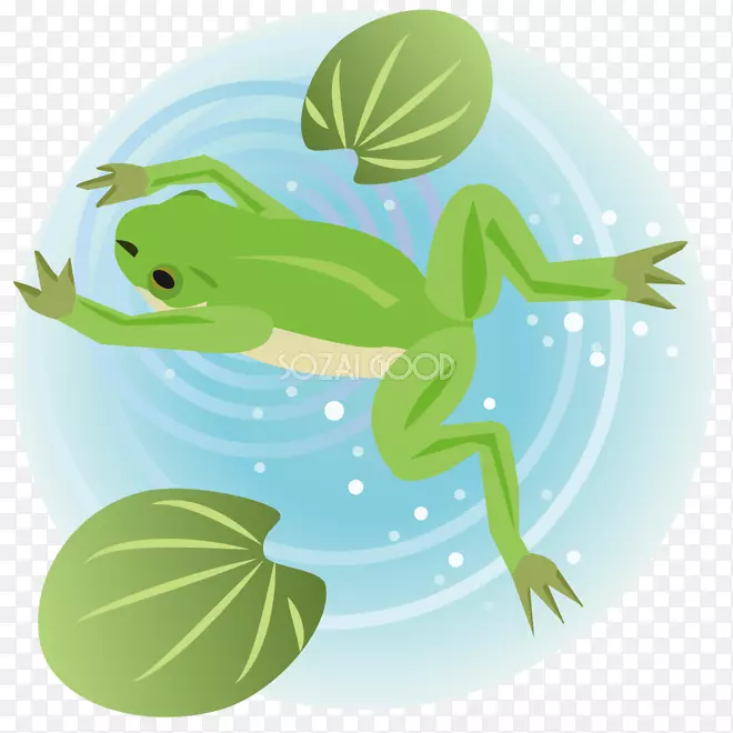 ����Ӿ���ж���-ai.zip-������