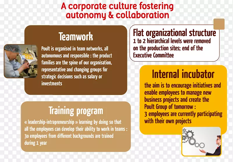 Ʒ�Ʋ�������-��֯�ṹ-������