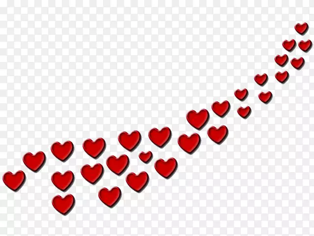 �ɶ����˽����հ�ʥ���ɶ�-������