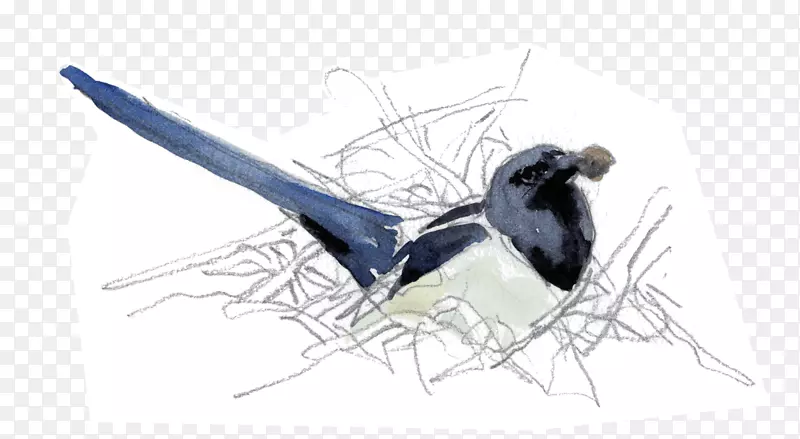 ๱�-������