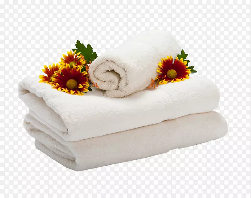 ��֯����-������