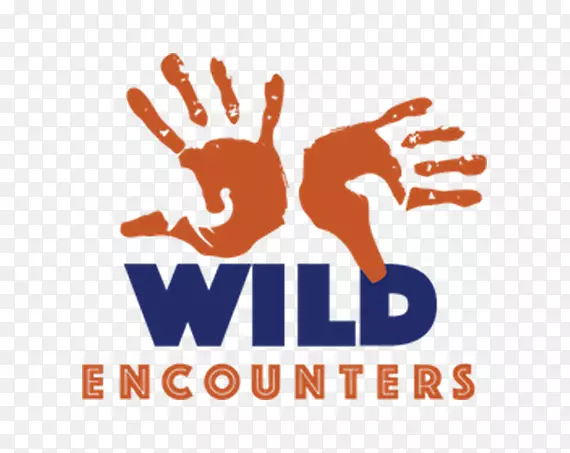 ��־Ʒ����ָ������-С����-������