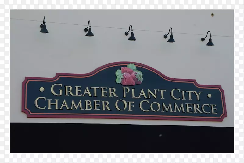 �����־Ʒ��-������