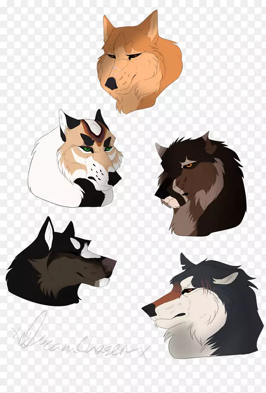 ���룬è������Ȯ�ƣ����ӣ�׷������-������