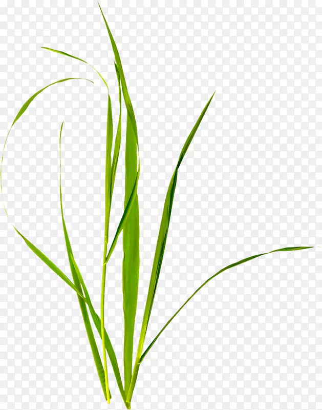 �����鱦��ͨ-������