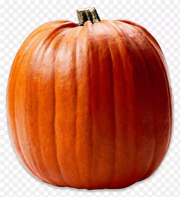 �ܿ�-ŷ-������«�����Ϲ�-��Ʒ����-������