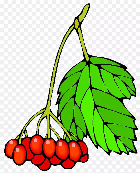 �¸���˹ˮ��������-������