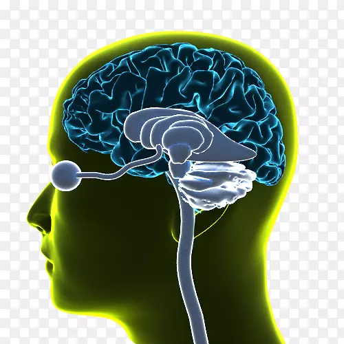 ������-̫�����ֲ����-������