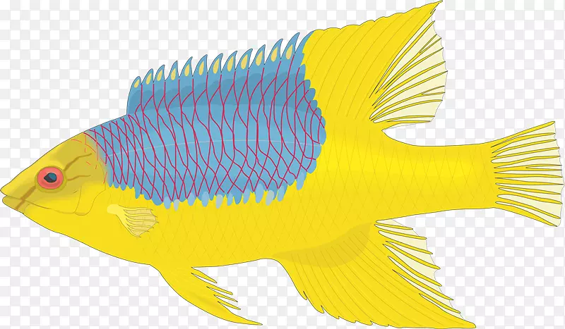 Ϊ�ڶ�Ĳ��Ͷ����ṩ�ز�-������