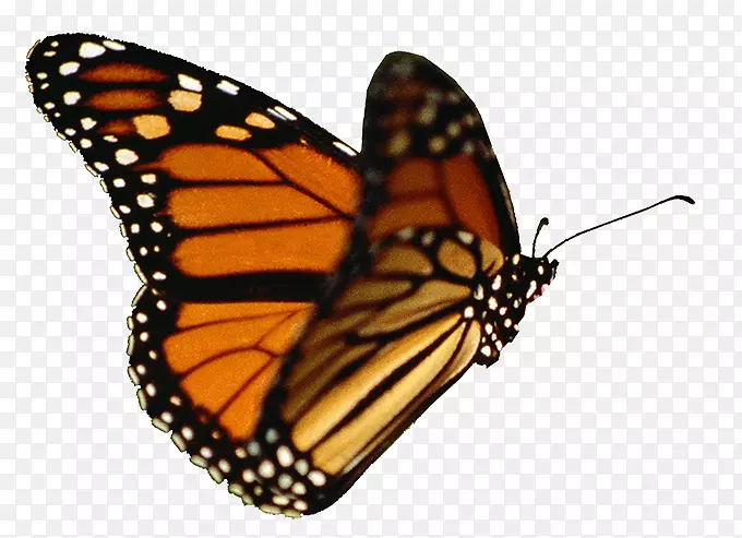 ���������������԰��-������