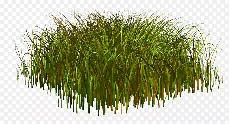 ��ľ���۹�ľ��԰-�Ȱ���Ȼ����-������