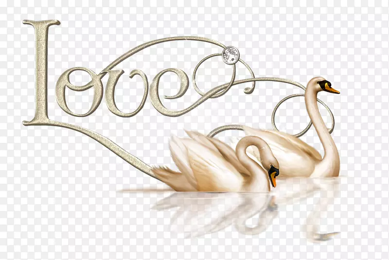 ����-���˽ڰ������PNG������-������