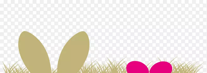 �����ֽ��д������Ʒ����-������