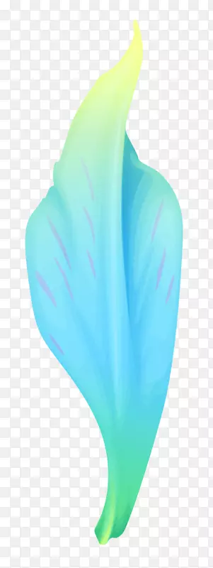 ��ɫ-����-������