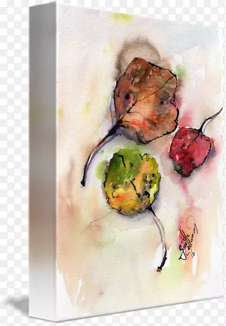 ˮ�ʻ�����;�����ˮ�ʻ�-������