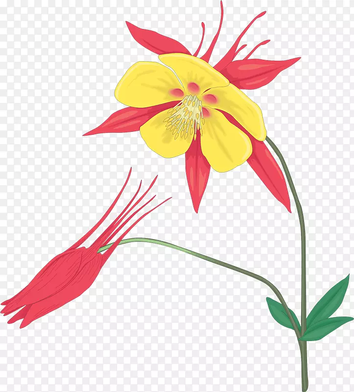 ������Ƽ�����.ֲ��-������