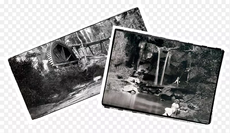 TamborineɽYugambeh����Yugambeh���������Ĵ�������-�����ֹ�-������