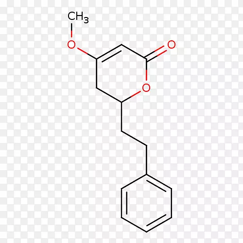 �л���ѧ�������л��������ѧ-������