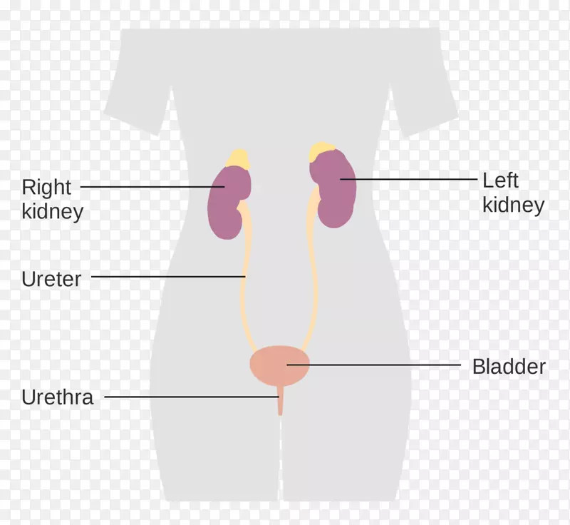 ��йϵͳ������-������