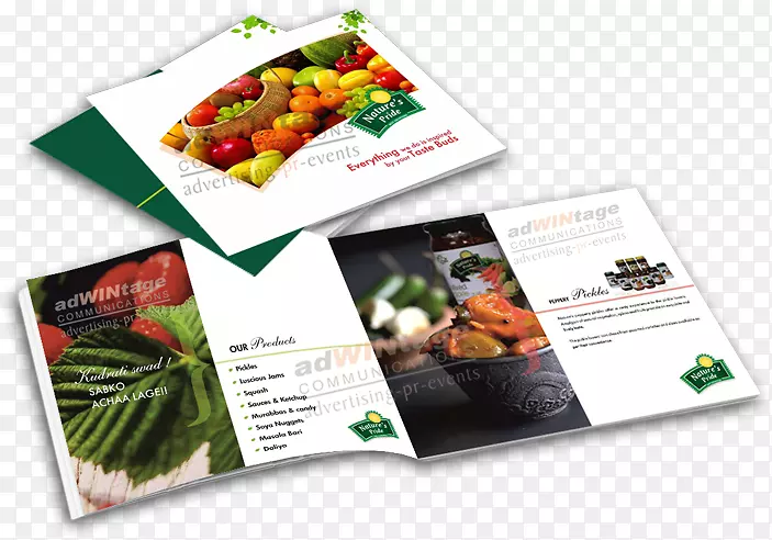 ����Ӫ�����-������������-������