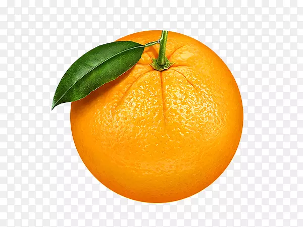 ����-������