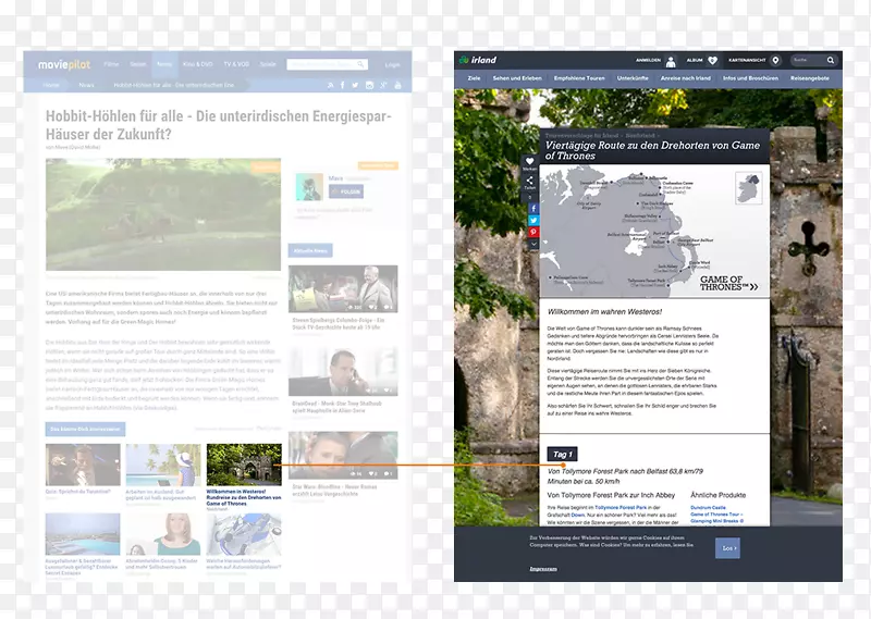 �����������������չʾ���-�����о�-������