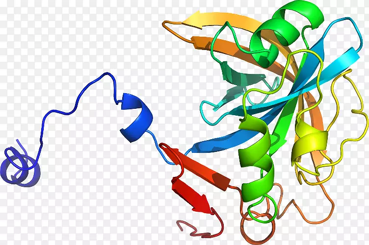 �ߵ�ƽ����Ƽ�������-������