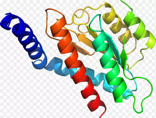 ���������л����߼�������-������