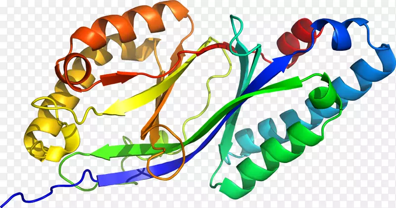 ���������л����߼�������-������