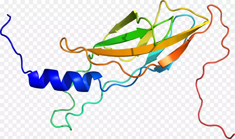 �ߵ������������-������