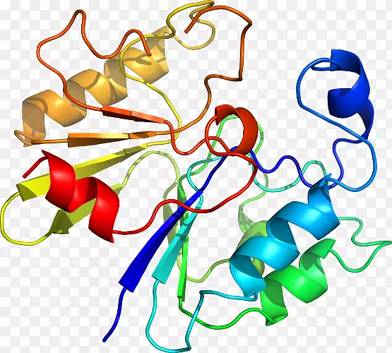 �ߵ������������-������