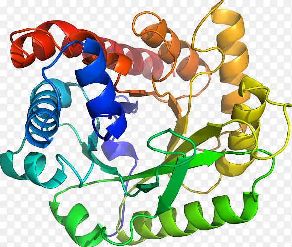 �����߶����������-������