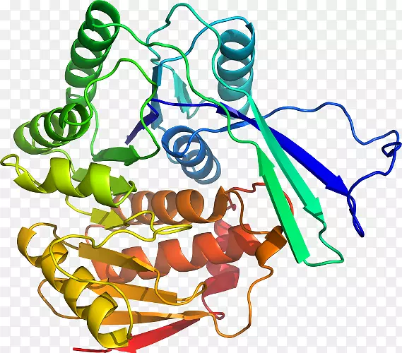 ֲ�ﾥ�߶����������-������