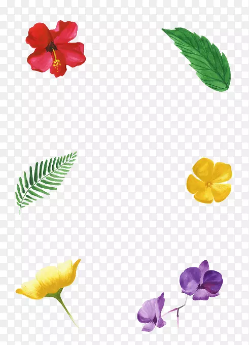 ������������꿪��ֲ��ȴ�����-������