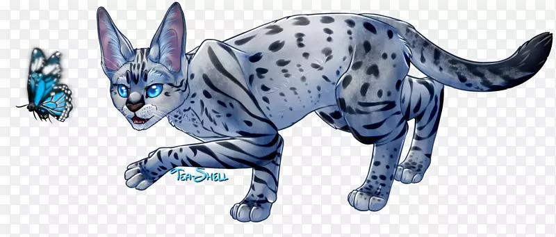 ����è�ƶ���צ��Ұ������-����Ż�-������