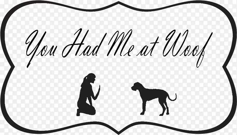 ����è�����칷-������