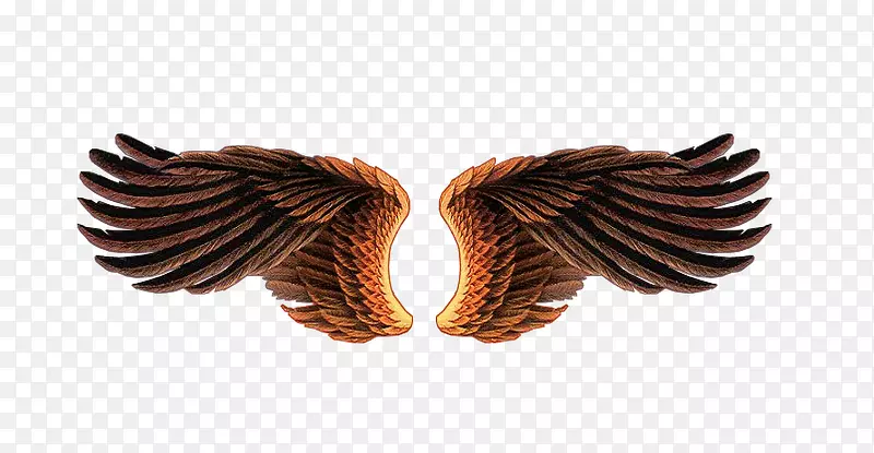 ����ѹ��-������