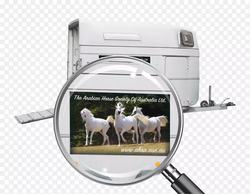 �����ǳ�-������ͼ-������