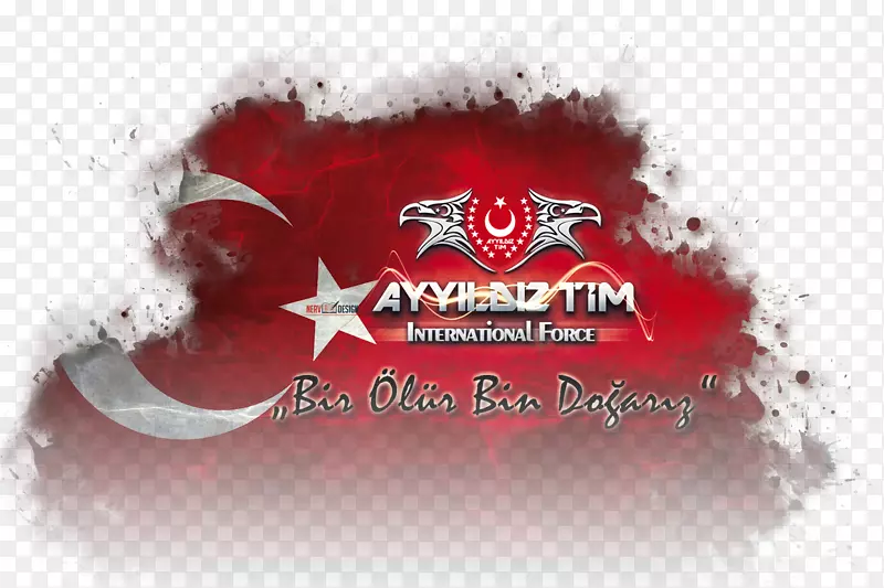 �̱������ֽƷ�Ƶ�������-����-������